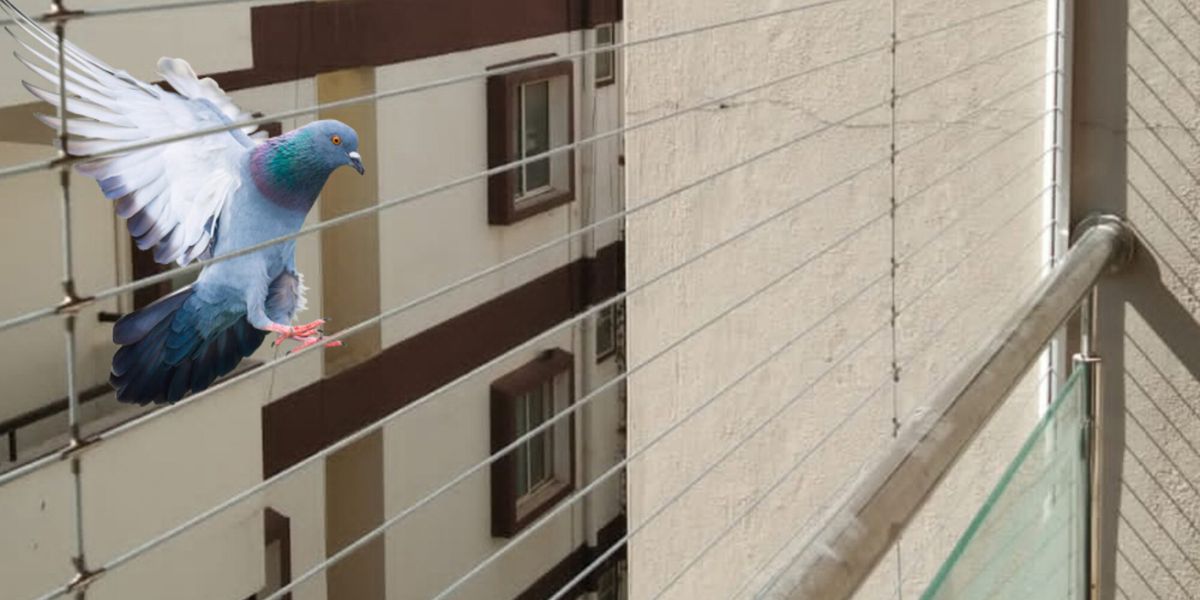 Invisible Grills for Pigeon Control