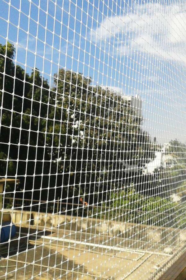 Pigeon Nets Installation