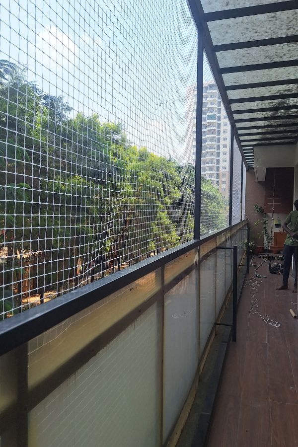 Pigeon Safety Nets