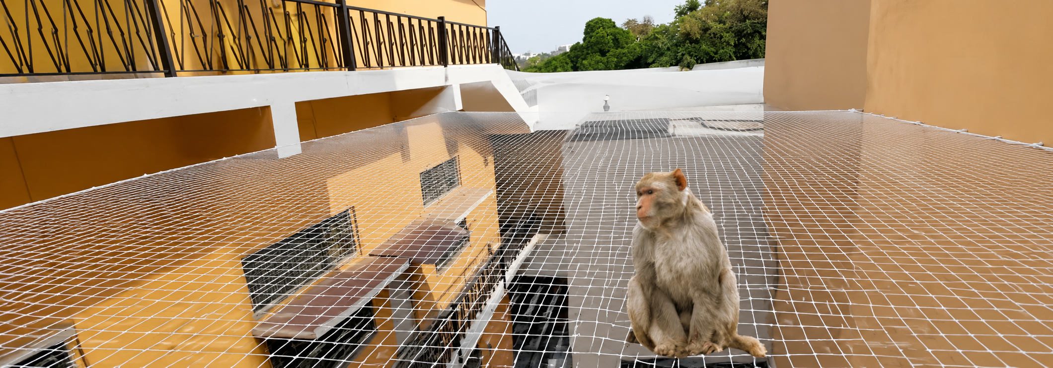 Monkey Safety Nets for Balconies in Chennai by SNK Pigeon Nets for reliable balcony protection