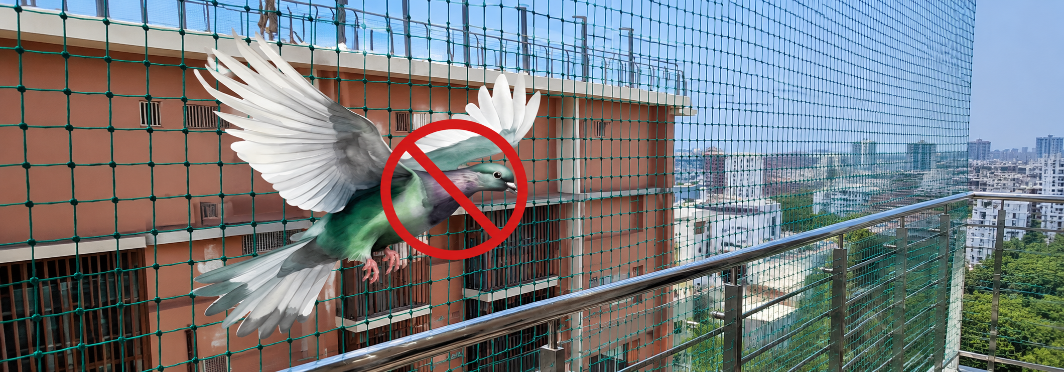 Pigeon Nets Near Me in Chennai by SNK Pigeon Nets